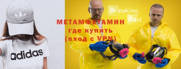 прущие грибы Зеленокумск