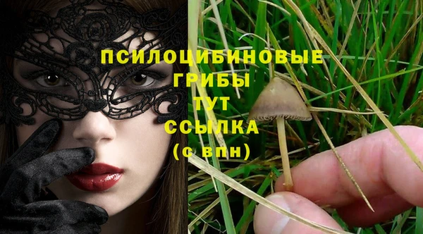 прущий лед Зеленодольск