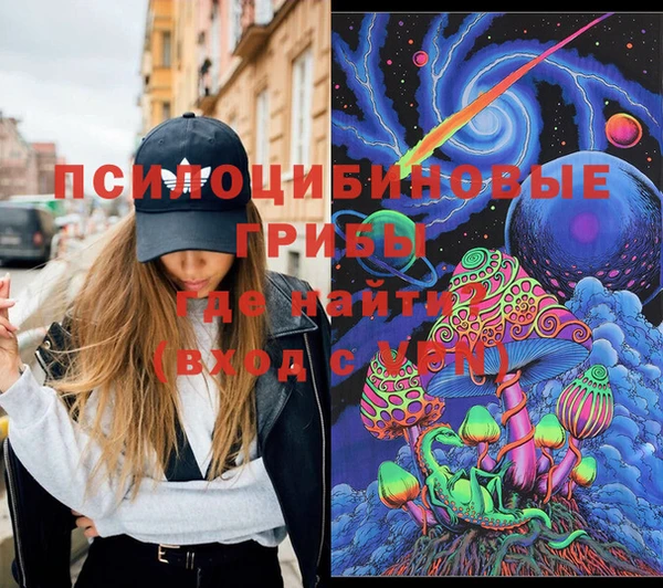 прущие грибы Зеленокумск