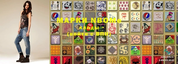 прущие грибы Зеленокумск