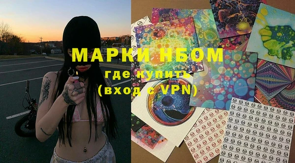 прущие грибы Зеленокумск