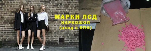 прущие грибы Зеленокумск