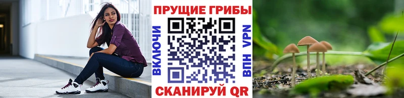 Галлюциногенные грибы Cubensis  Купить закладки  Верхняя Салда 